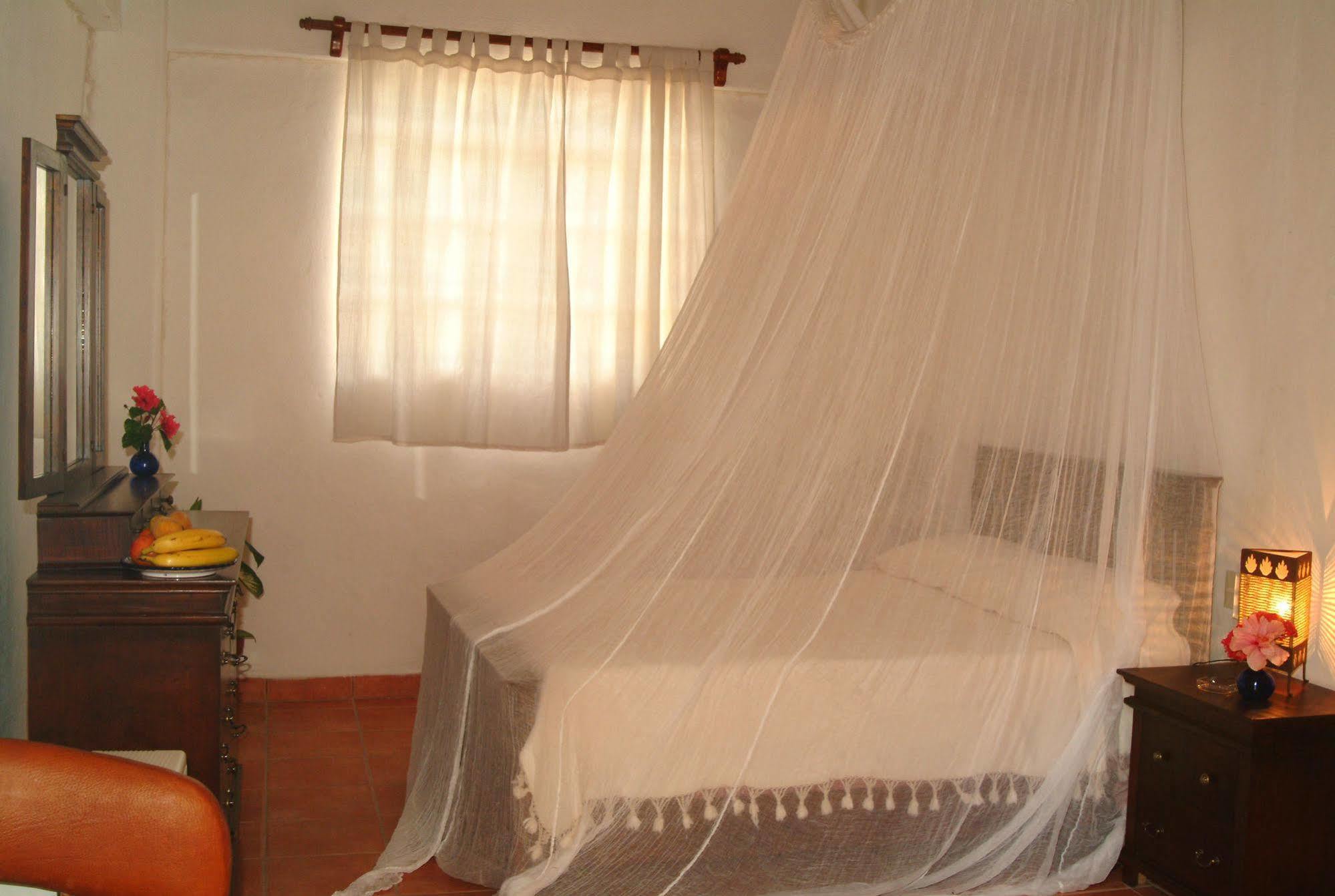 Casa Tukari Colonial House Hotel Puerto Vallarta Exterior photo